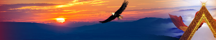 ��������MR��(�й�����)�ٷ���վ