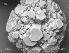 ��������MR��(�й�����)�ٷ���վ