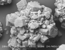 W020200827535291373752