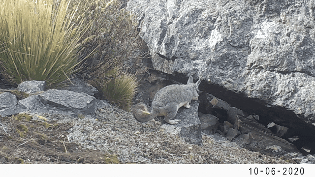 ��������MR��(�й�����)�ٷ���վ