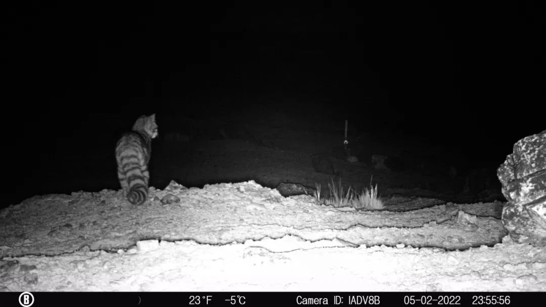 ��������MR��(�й�����)�ٷ���վ