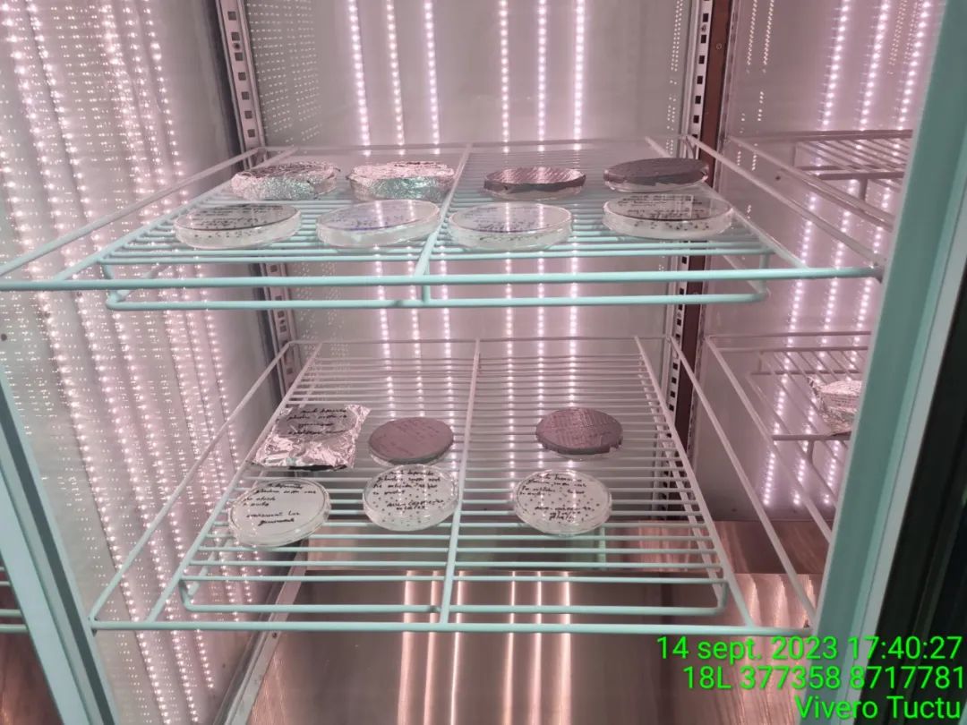 ��������MR��(�й�����)�ٷ���վ