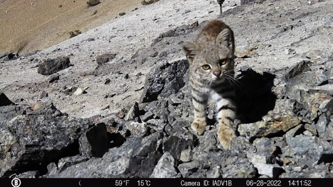 ��������MR��(�й�����)�ٷ���վ