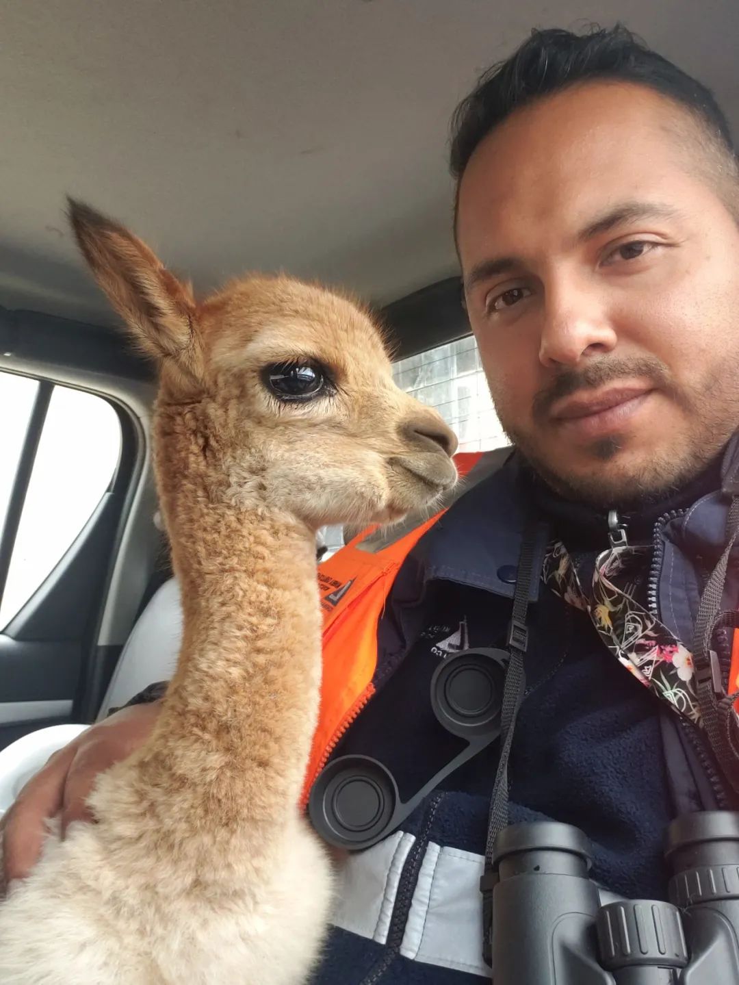 ��������MR��(�й�����)�ٷ���վ