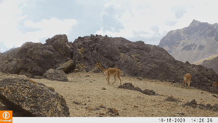 ��������MR��(�й�����)�ٷ���վ