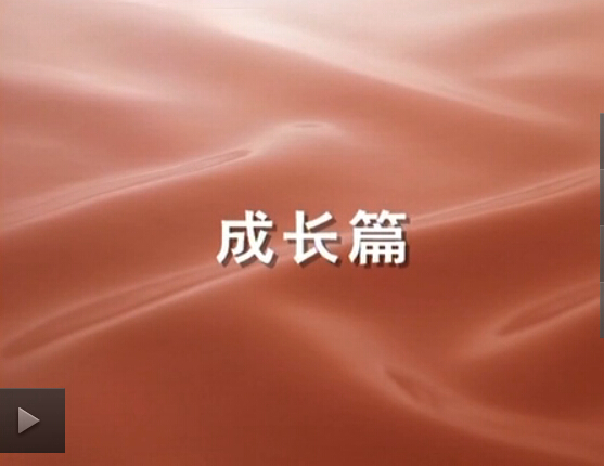 ÒÚÍòÏÈÉúMR¡¤(Öйú¼¯ÍÅ)¹Ù·½ÍøÕ¾