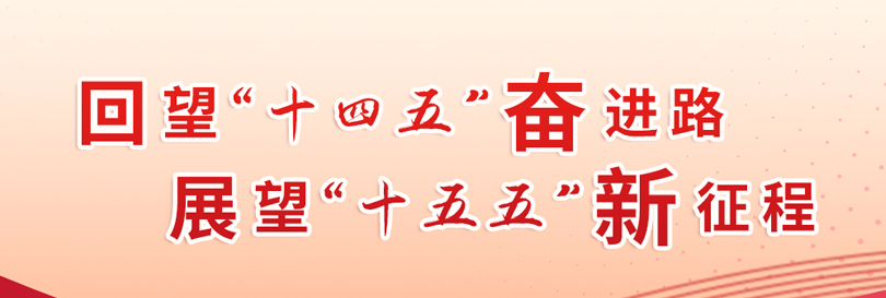 P020251202516620744048